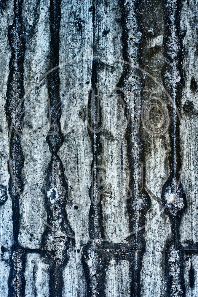 ClaudioLepri_20170103_5813_w_lu52_S