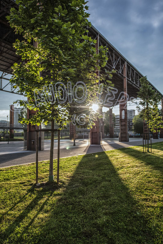 BM_TRAMONTO_01_w800C