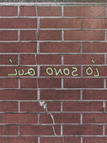 iuq_onosoi__12_novembre_2017_Claudio_Lepri_500x375x80